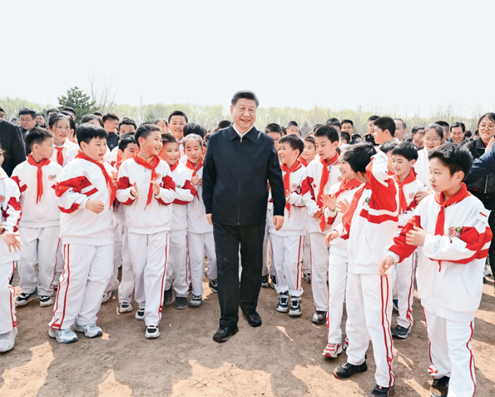 图片5