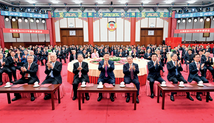 图片11
